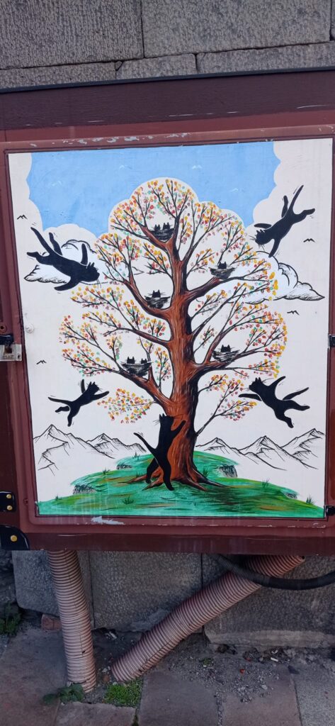 Ziua Națională a pisicii în Statele Unite