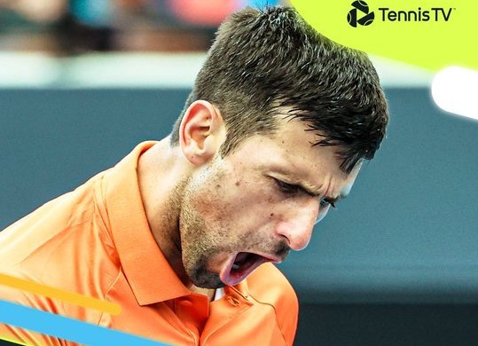 Djokovici, prima înfrângere după 43 de victorii în Australia