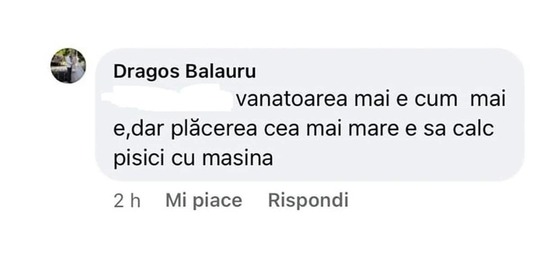 Balauru, dat afară de la Ungheni, după ce a spus că îi place să calce pisici cu maşina