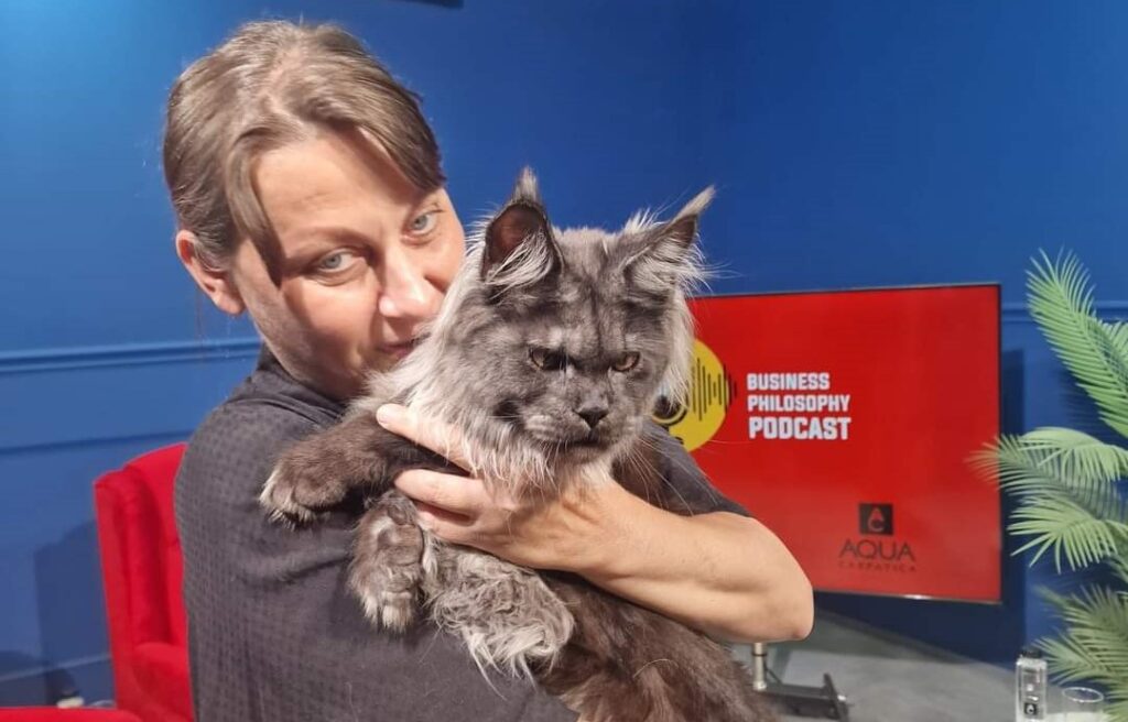 Secretele pisicilor Maine Coon. Felisa Gina’s Dream