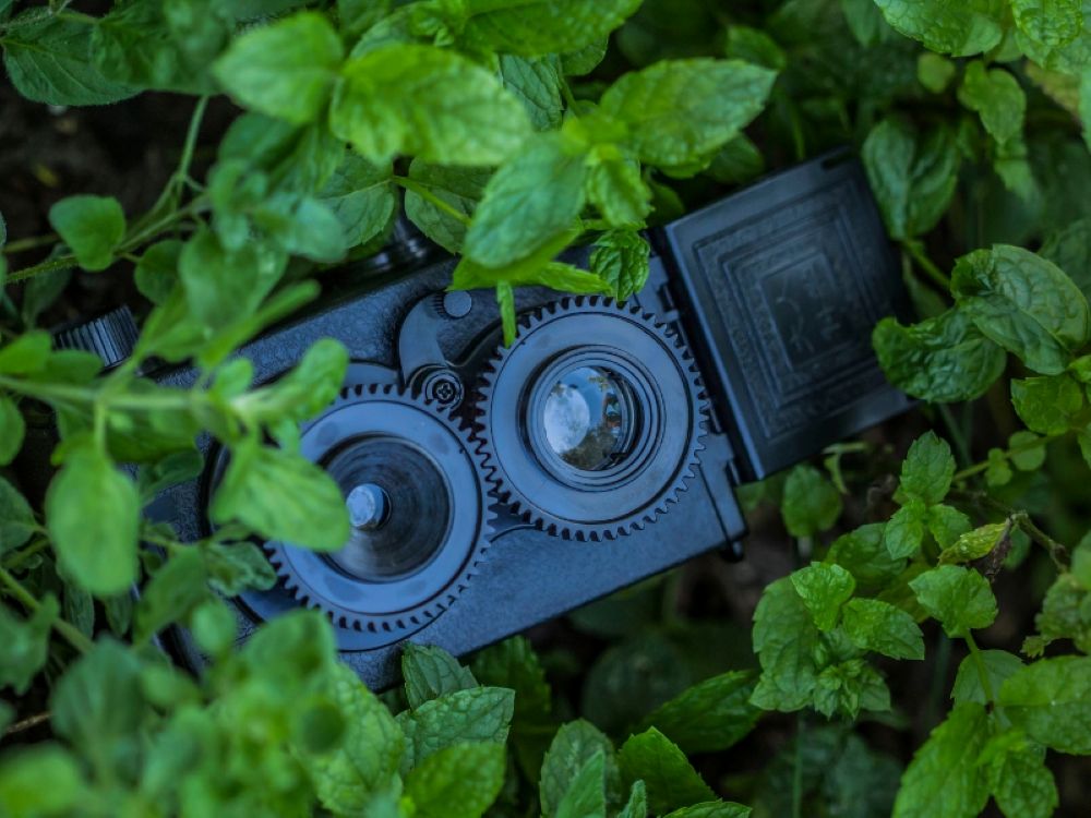 Bănuiești că ți se umblă prin lucruri la birou? Află ce poți face!