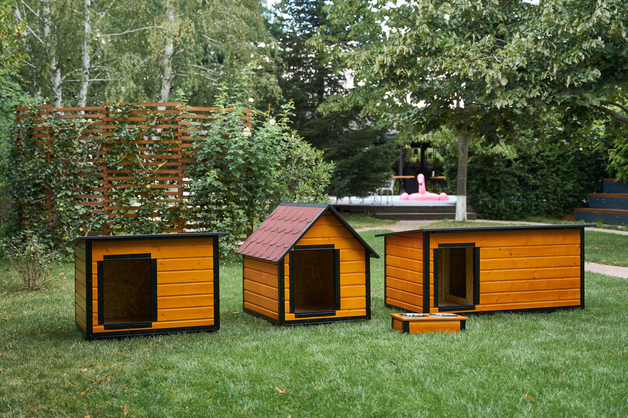 Cum iti poti personaliza cusca cainelui tau