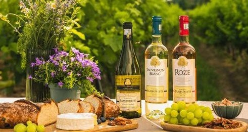 Sâmburești, lider în topul celor mai vizibile branduri de vin în online în luna mai 2026